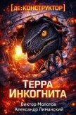 [де:КОНСТРУКТОР] Терра Инкогнита (СИ) - Лиманский Александр